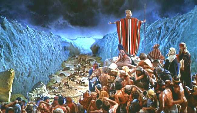 MOISES VE LLEGAR A LOS CARROS