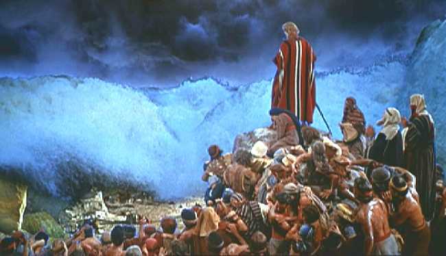 MOISES VE LLEGAR A LOS CARROS