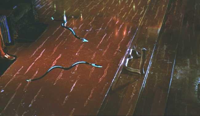 MOISES ANTE LA CORTE DEL FARAON